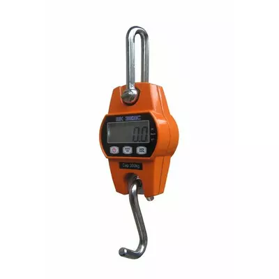 Весы крановые ВК ЗЕВС І - 120